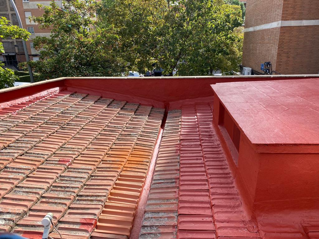 IMG-20221124-WA0028 (1)